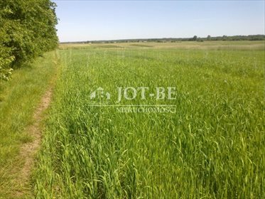 działka na sprzedaż 13000m2 działka Chrzanów