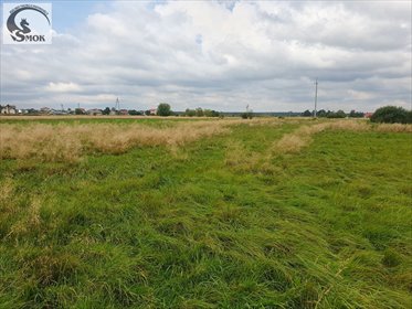 działka na sprzedaż 5900m2 działka Zabierzów Bocheński