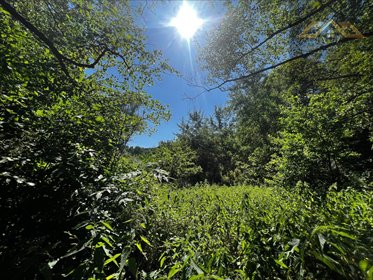 działka na sprzedaż 9400m2 działka Olszyny