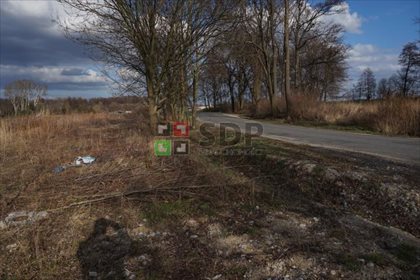 Działka komercyjna na sprzedaż Zabrodzie 21 362m2 Foto 5