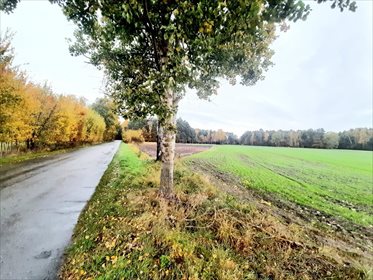 Działka rekreacyjna na sprzedaż Mianów 1 771m2 Foto 3
