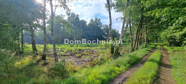 Sprzedam działkę 5600 m² wśród drzew w Bratucicach działka Bratucice