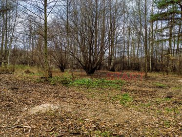 działka na sprzedaż 1500m2 działka Adamów-Wieś