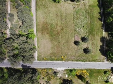 Działka rekreacyjna na sprzedaż Nowy Janów 3 818m2 Foto 4