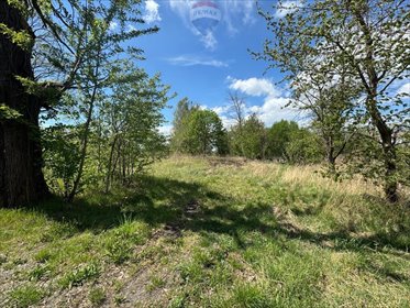 Działka 4759 m² pod dom i działalność w Jejkowicach działka Jejkowice, Niedobczycka