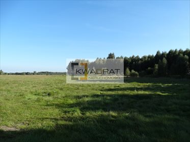 Działka rolna na sprzedaż Brzozowica 36 300m2 Foto 1