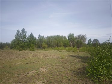 Działka 5379 m² pod dom z widokiem na las - Koczargi działka Koczargi Stare, Podleśna