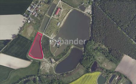 działka na sprzedaż 13310m2 działka Stroszki