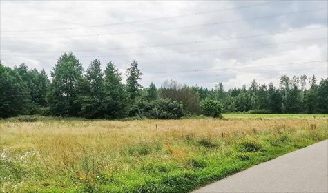 Działki w Płozy – 1000 m², media, lasy, spokój działka Płozy