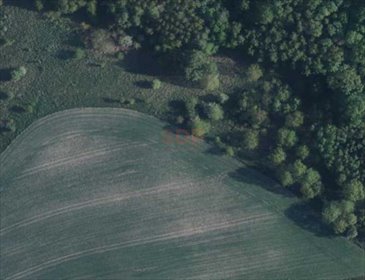 działka na sprzedaż 15800m2 działka Ławica