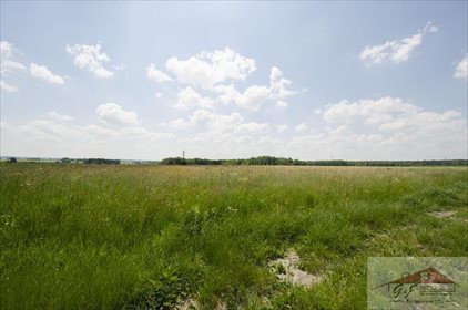 Działka przemysłowo-handlowa na sprzedaż Moszczanica 53 900m2 Foto 3