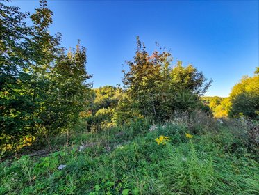 Działka 3 049 m² z pozwoleniem na budowę - polecam! działka Pławna Dolna