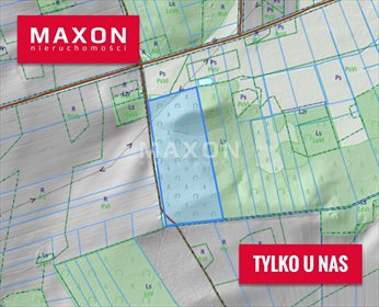 działka na sprzedaż 26048m2 działka Orlikowo