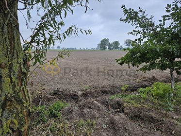 działka na sprzedaż 825m2 działka Kokorzyn