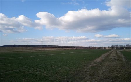 Działka budowlana 1401 m² w spokojnej okolicy, blisko Legnicy działka Grzymalin, Grzymalin, Grzymalin