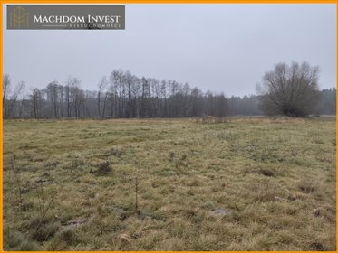 Działka budowlana 3001 m² w Cegielniku – szybki dojazd do Torunia działka Cegielnik