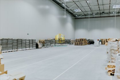 magazyn na wynajem 700m2 magazyn Dawidy Bankowe