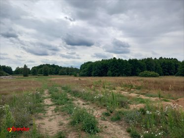Działka 750 m² z projektem domu, studnią i przyłączami działka Skudzawy