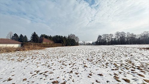 działka na sprzedaż 800m2 działka Cholerzyn, Cholerzyn