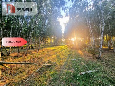 Na sprzedaż działka 1266 m² w lesie, idealna pod dom działka Strzyżewo Paczkowe