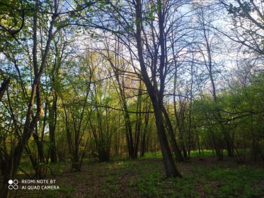 Działka na sprzedaż 14140m2 działka Anielin Swędowski, Strykowska