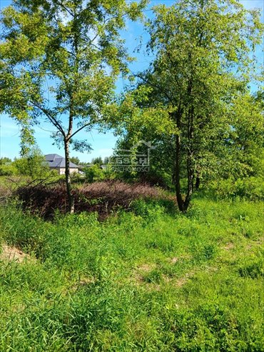 działka na sprzedaż 966m2 działka Rusiec