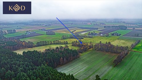 Na sprzedaż działka 2,78 ha z lasem i mediami w Gizałkach działka Wierzchy