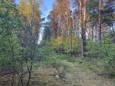 Sprzedam działkę 1725 m² w Babicach z planem pod dom działka Babice, Babice