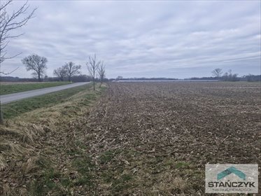 działka na sprzedaż 27300m2 działka Golczewo