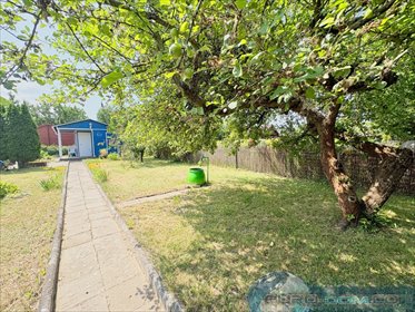 Urokliwa działka ROD 300 m² z domkiem i ogrodem - polecam! działka Poznań, Ławica, Bukowska