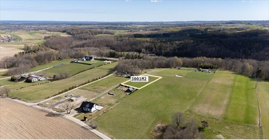 Działka 3001 m² pod siedlisko w Barłomino (blisko Luzina) działka Barłomino, Parkowa