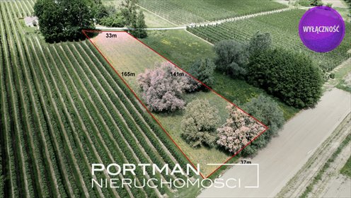 Działka 4992 m2 z warunkami zabudowy i mediami działka Wilga