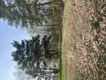 działka na sprzedaż 1500m2 działka Milanówek