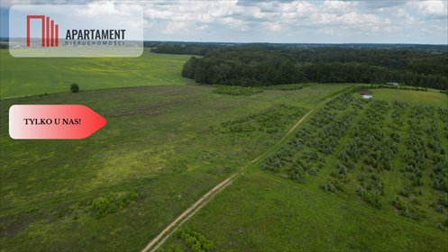 działka na sprzedaż 1000m2 działka Miradowo