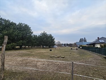 Zapraszam do zakupu działki 2500 m² z mediami w Wołowych Lasach działka Wołowe Lasy