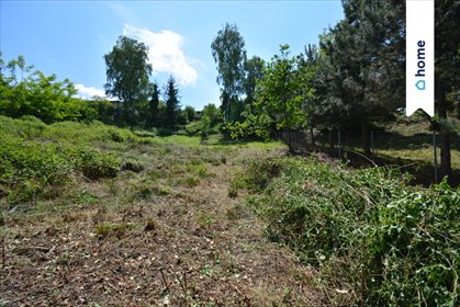 działka na sprzedaż 1630m2 działka Rogów, Krótka
