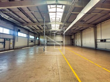 Sprzedam nowoczesną halę magazynowo-produkcyjną 1335 m² w Pustkowie magazyn Pustków
