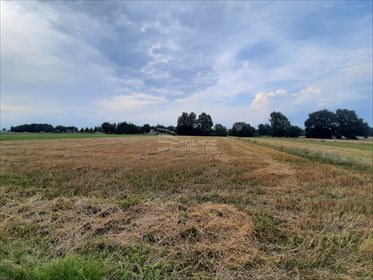 Działka rolna na sprzedaż Żurawieniec 22 500m2 Foto 2