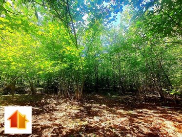 działka na sprzedaż 2080m2 działka Łupianka Stara