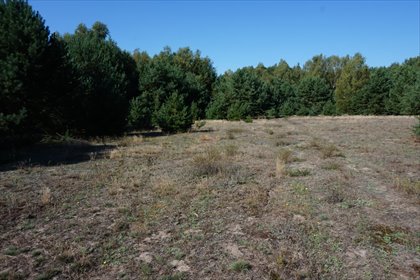 działka na sprzedaż 3071m2 działka Janiszów