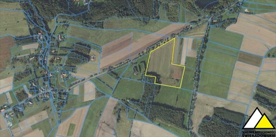 działka na sprzedaż 60000m2 działka Złoty Potok, Złoty Potok