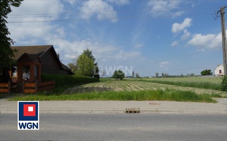 Działka budowlana w Wielowieś z warunkami zabudowy polecam działka Sieroszewice, Wielowieś, Wielowieś
