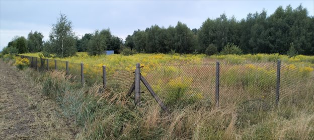 działka na sprzedaż Mzyki Polna 8400 m2