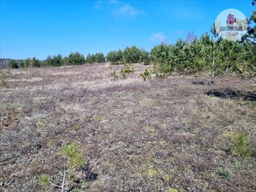 Działka budowlana na sprzedaż Biesówko, Biesówko 5 771m2 Foto 5