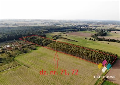 Działka leśna na sprzedaż Barcikowo 41 800m2 Foto 1