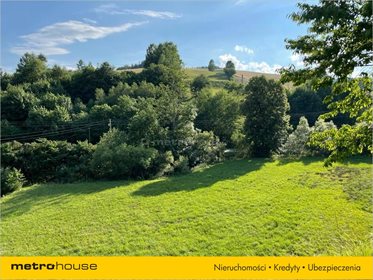 Działka rolna na sprzedaż Rybne, Solina 2 374m2 Foto 4