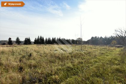 Działka 1726 m² z warunkami zabudowy w Leszycach działka Leszyce