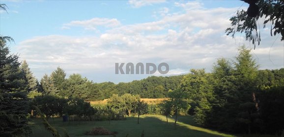 działka na sprzedaż 4000m2 działka Tyniec Mały