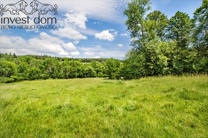 Do sprzedania działki z dostępem do strumienia i widokami na Beskid Niski działka Skwirtne
