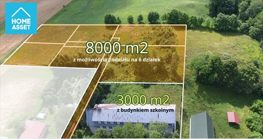 Działka budowlana na sprzedaż Skop 8 000m2 Foto 2
